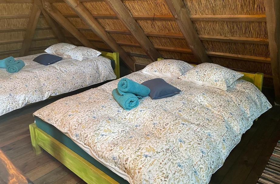 Agroturystyka Mirabelkowe Zacisze Jasieniec Ngoại thất bức ảnh
